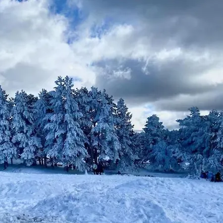 El Cerrito De La Vega