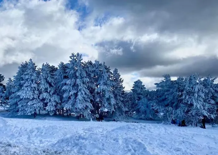 El Cerrito De La Vega