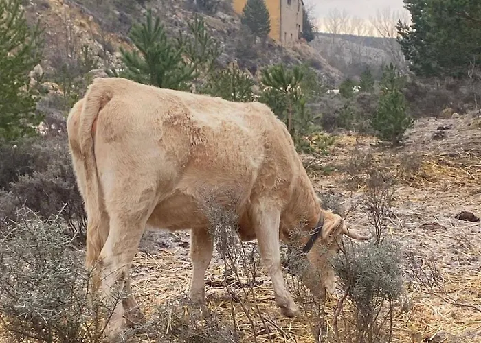 シャレー El Cerrito De La Vega *